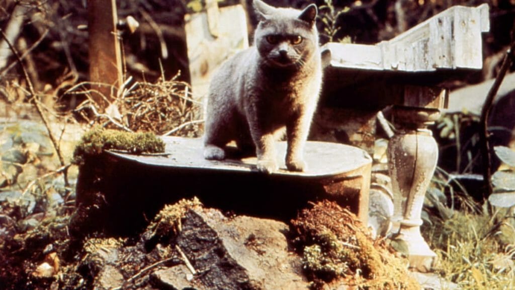 Pet Sematary 1989 Horror Movie For Halloween